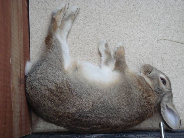 たった今！！