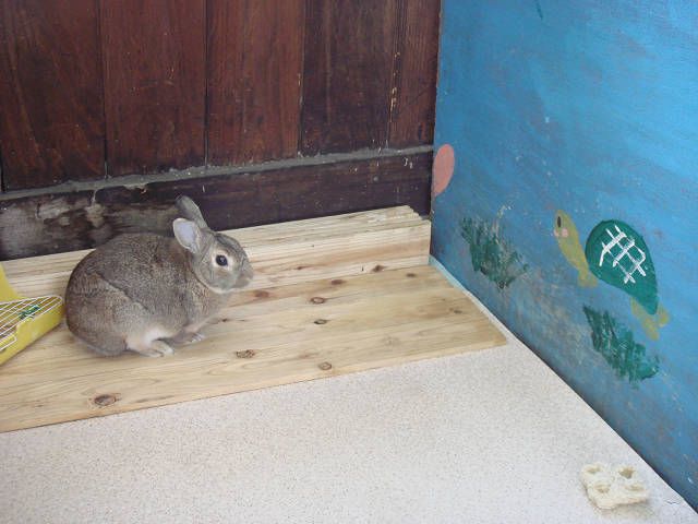 ねえねえ。