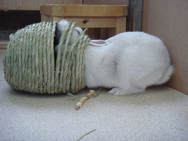 なんとしても！！！