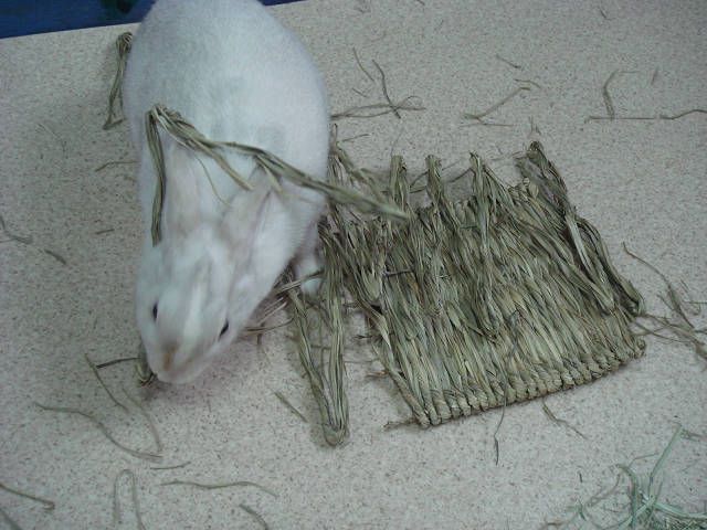 お気に入りが・・・・。