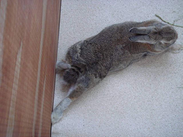 僕の中で。