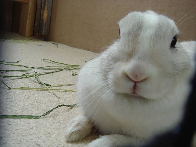 アップ（＾－＾）