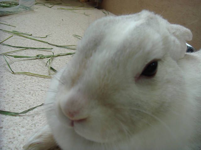 春　み～つけた（＾－＾）