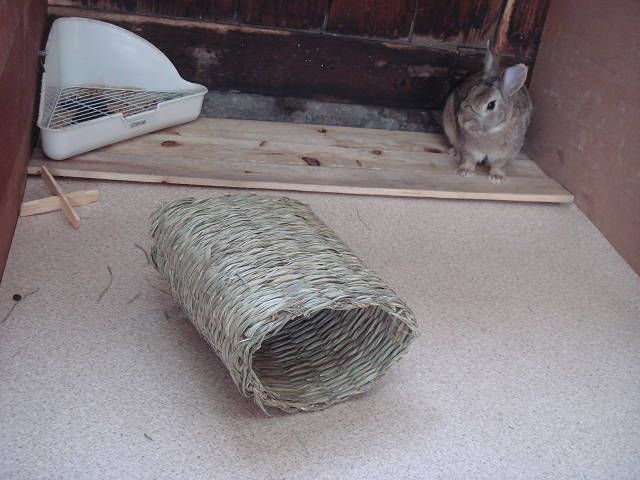今日はにぎやか（＾－＾）