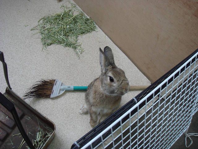 おっかながった～！！