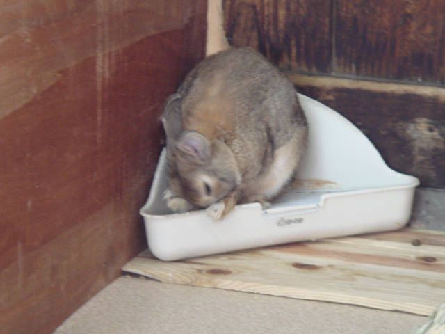 ごめんなさい。。