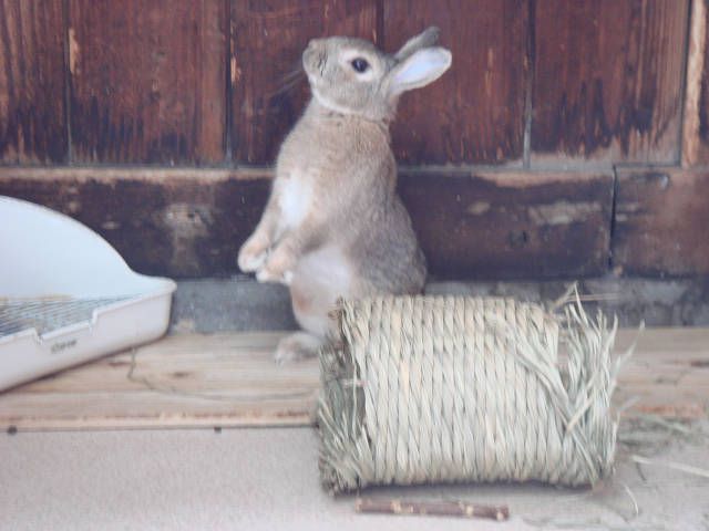 なんだが騒がしいぞ！！