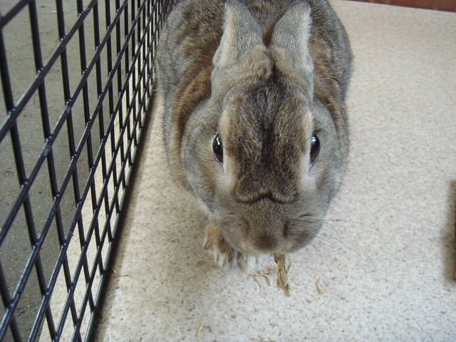 てん　　です！