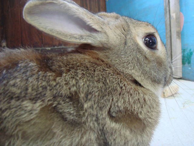 やっと春らしくなりました。