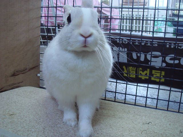 るんルンルン（●＾o＾●）