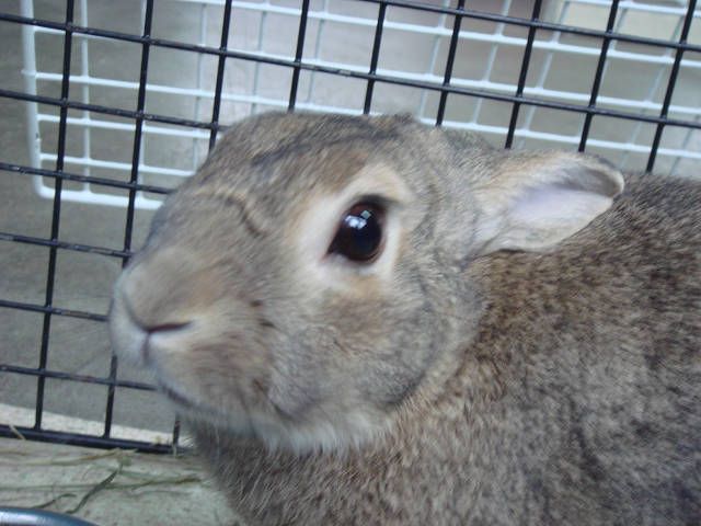 ☆お知らせ☆