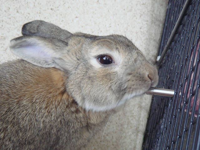 おいしいなあ。