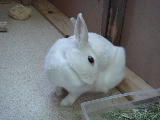 身だしなみが肝心だべ（●＾o＾●）