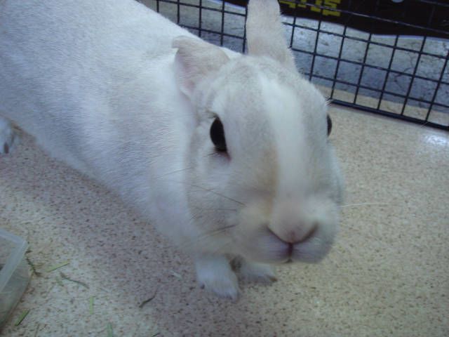 お休み。