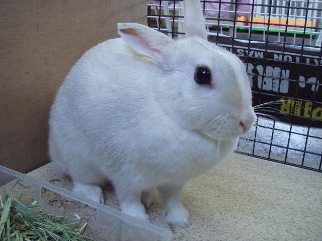 満開だよ～！！
