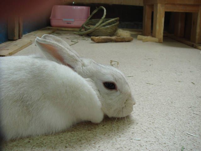 ちょっとお疲れ。。