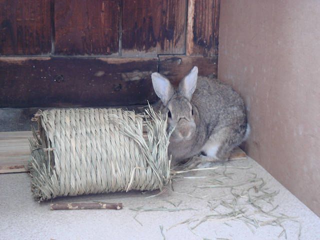 あっというま。