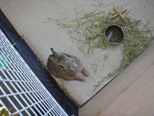 こんにちは。