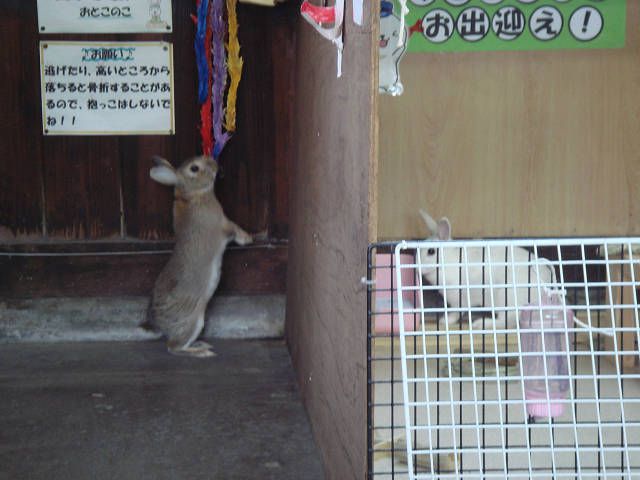 高い壁！