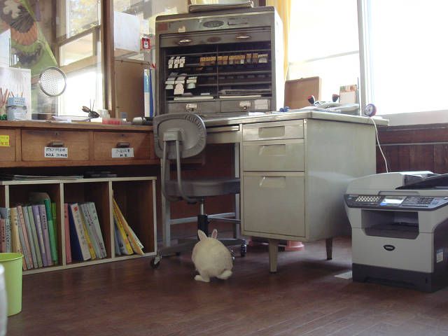 私の日課。