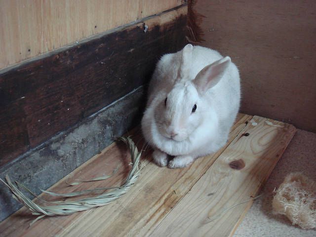今日はなんだか。。