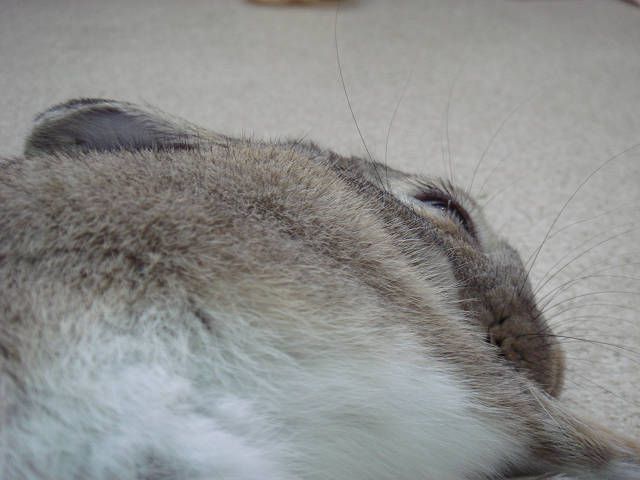 寝息す～す～