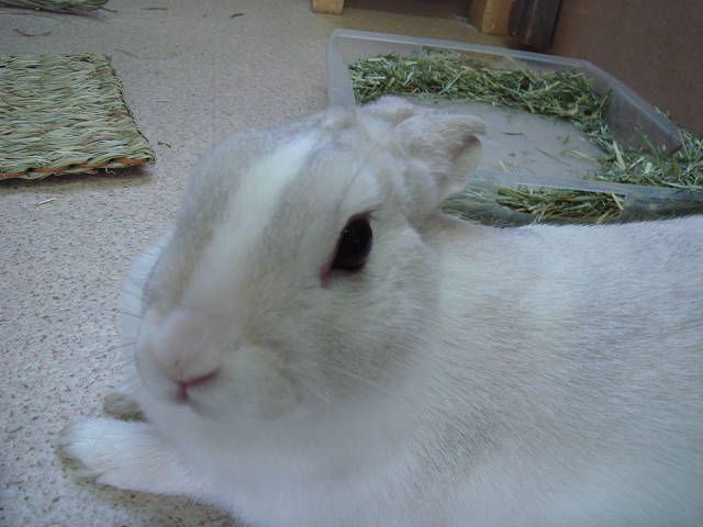おはようございます！