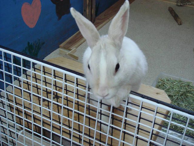 よっこらしょっと！