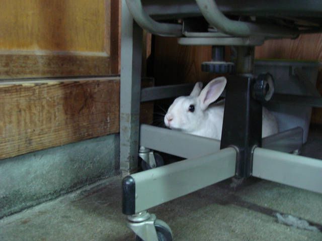 許可がでました（＾ｖ＾）