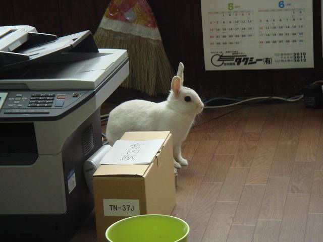 駅長らしい？？