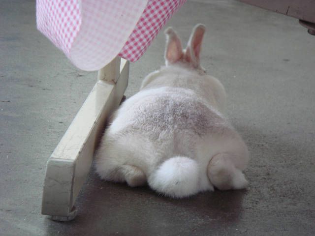 あっつい！！