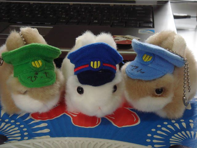 ご紹介。