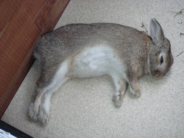 朝からhotな写真をお届け！