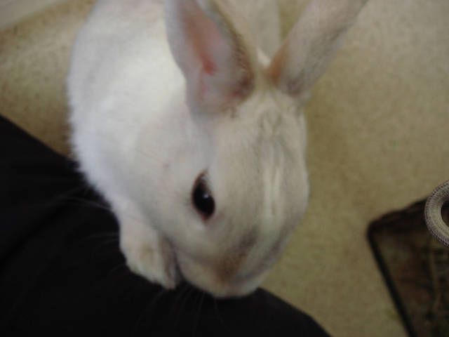 こんにちは（＾－＾）