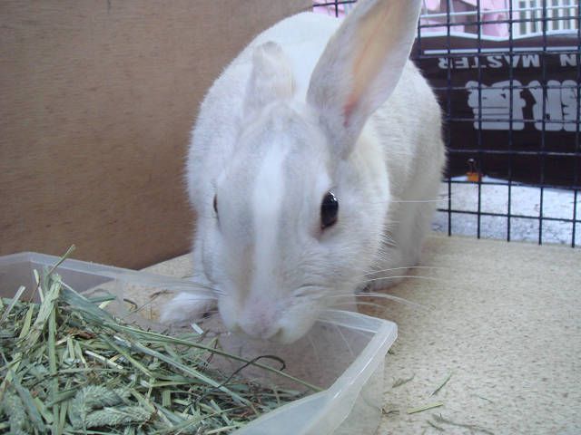 夢中で。。。