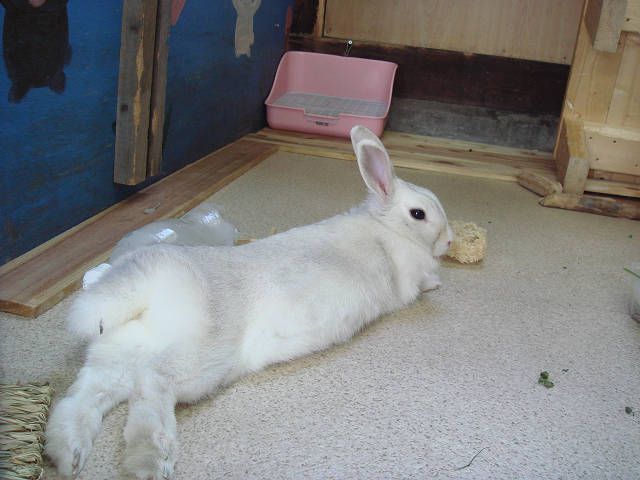 リラックス。。