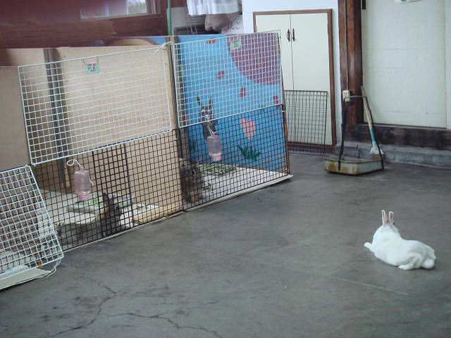 えっへん！