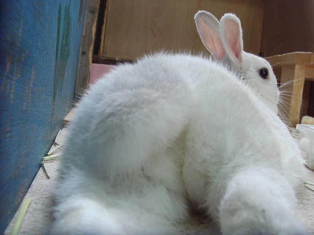 涼しいな。