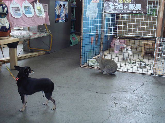 ☆友だち100人できるかな☆