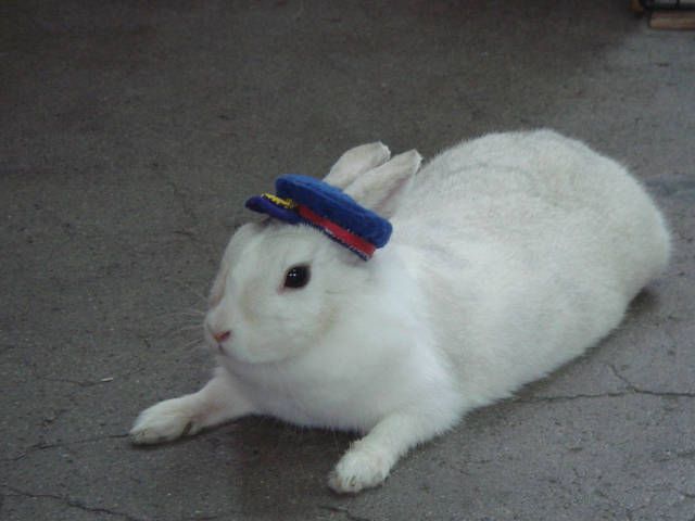 暑い！