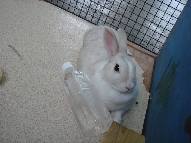 七月も終わりですね～。