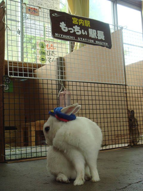もっちぃ駅長です。