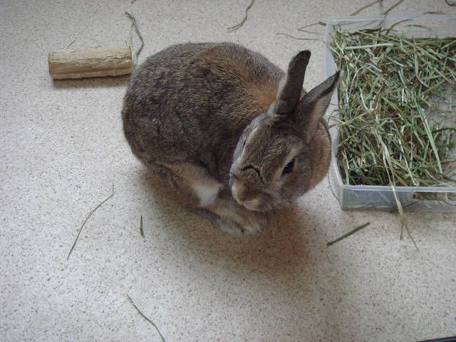 ぴーたーです(^O^)