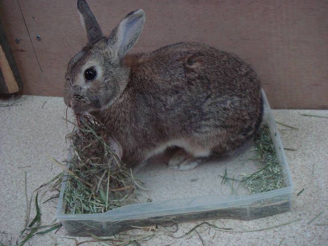 夢中で食べる！
