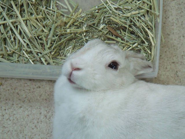お盆ですね。