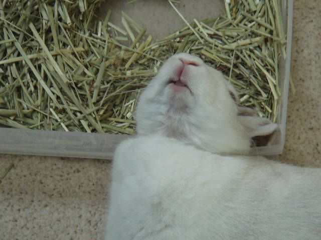 過ごしやすいな～。