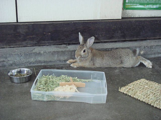 ☆お知らせ☆