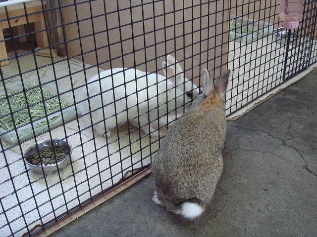 ナイショ話（＾ｖ＾）