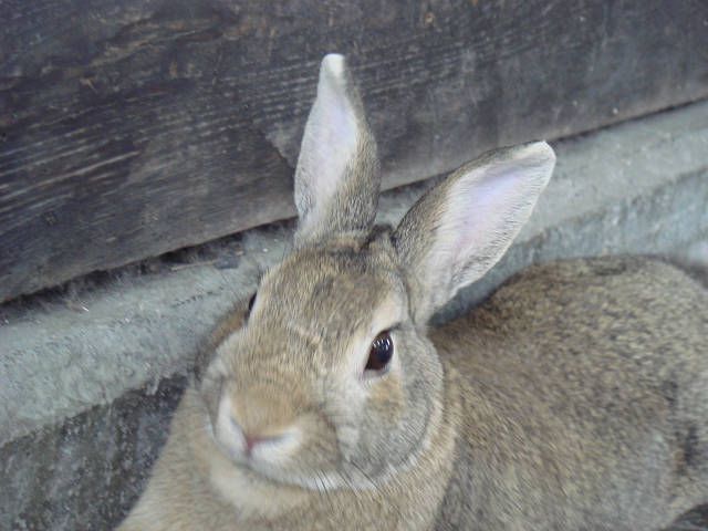おはようございます(^O^)／