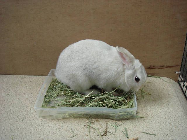 夢中でパクパク!(^^)!